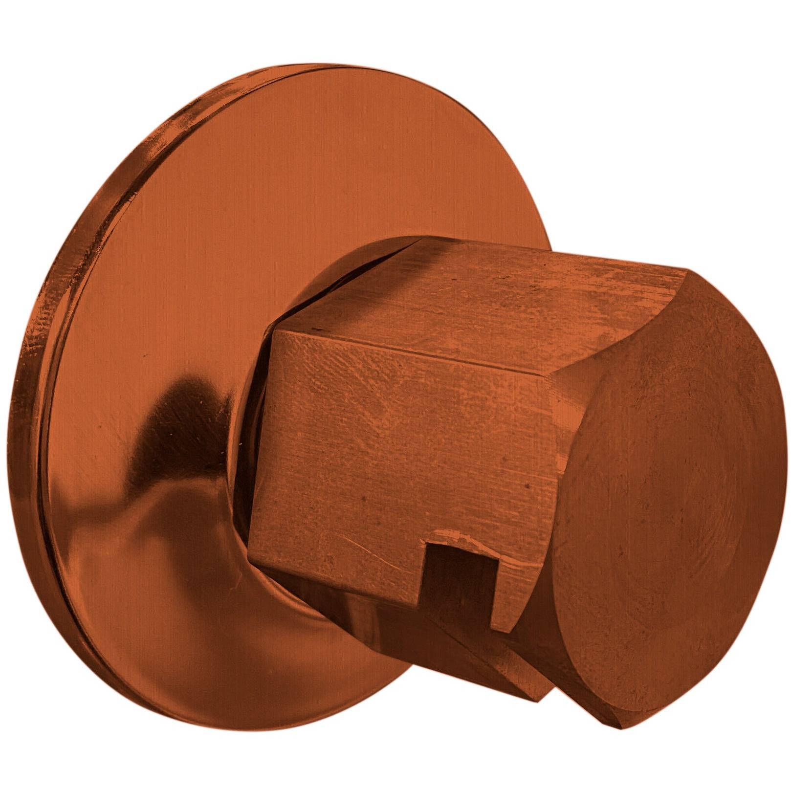 ThermaSol Traditional 3/4" Style Steam Head in Antique Copper Finish Antique Copper ThermaSol tss-acop.jpg