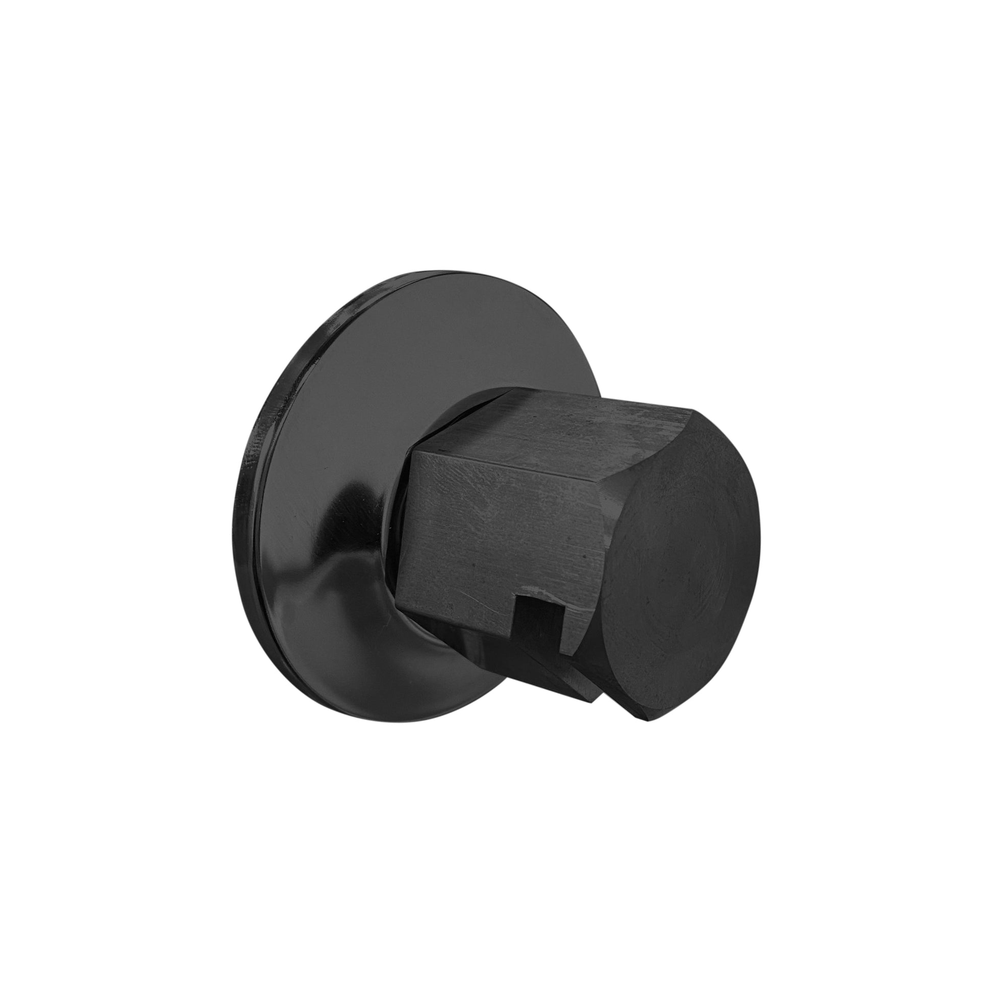 ThermaSol Traditional 3/4" Style Steam Head in Matte Black Finish Matte Black ThermaSol tss-mb.jpg