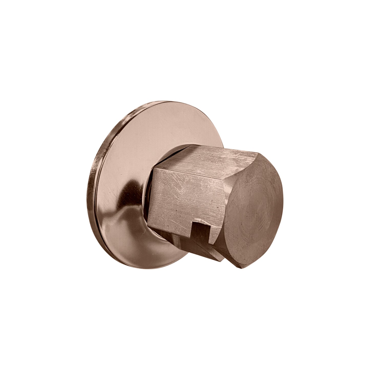 ThermaSol Traditional 3/4" Style Steam Head in Satin Nickel Finish Satin Nickel ThermaSol tss-sn.jpg