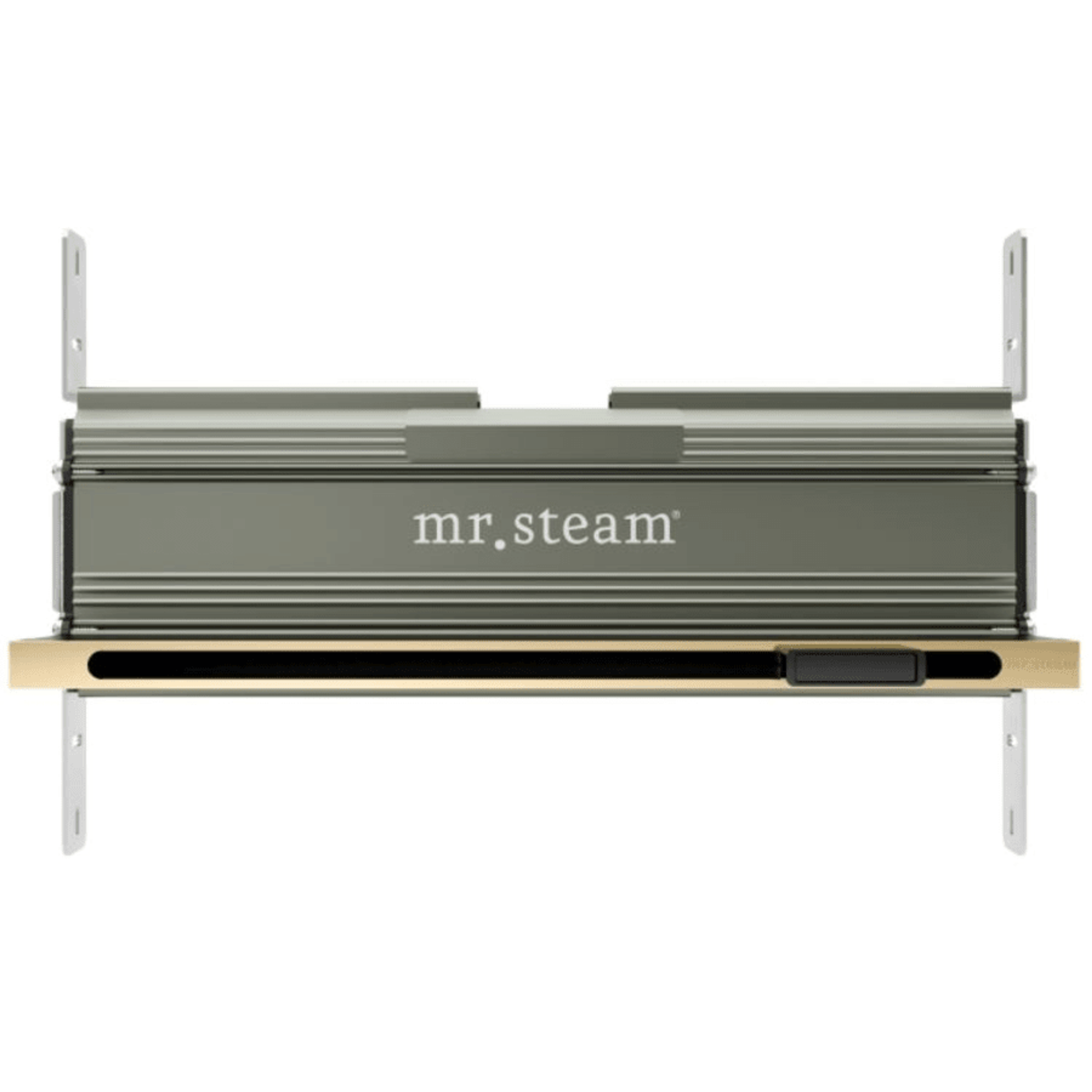 Linear SteamHead Polish Brass Mr Steam PolishBrass.png