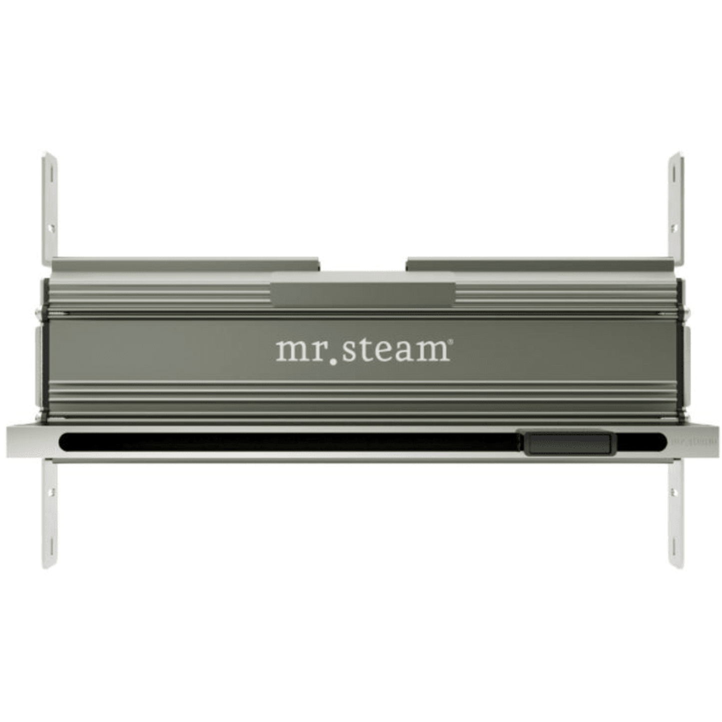 Linear SteamHead Polish Nickel Mr Steam PolishNickel.png