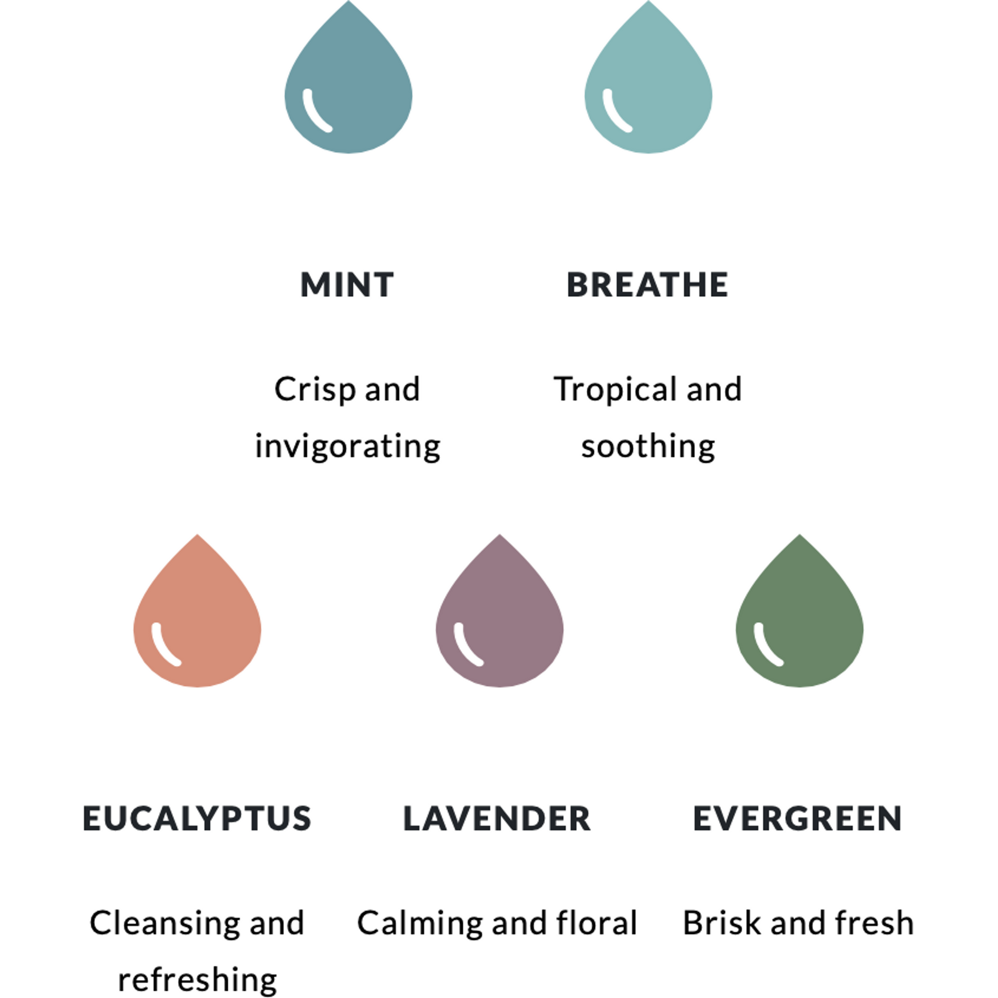 Mr. Steam AromaSteam System Package Pump and Oil Eucalyptus,Lavender,Evergreen,Energizing Mint,Breathe Mr Steam Screenshot2023-04-16at9.59.57AM.png